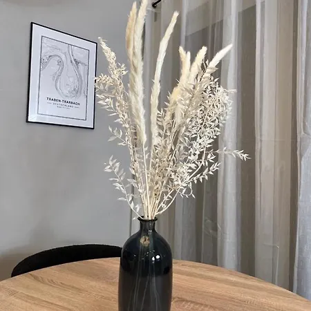 Loft.wallbox.garage.arbeitsplatz.3p.100m Zur Mosel Traben-Trarbach